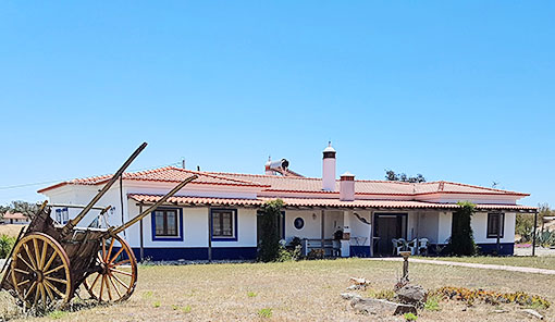 Casas Aguia & Coruja From The Garden