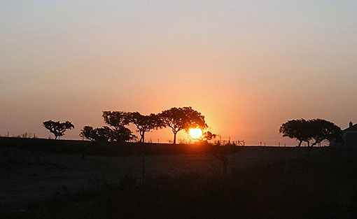 Autumn Sunrise