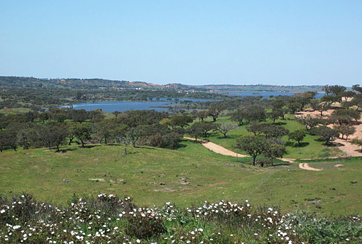 Lake view from Vale da Cegonha.