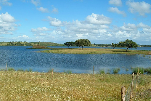 Lakeside Picnic Spot (Monte da Rocha)