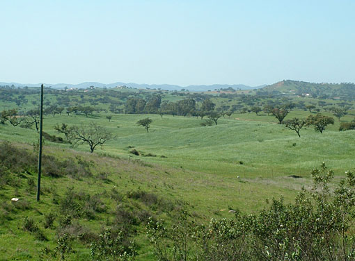 Vale da Cegonha.