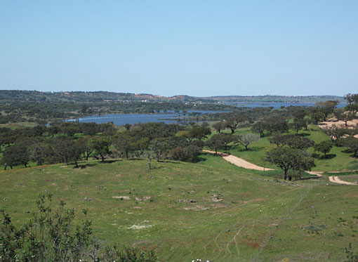 Vale da Cegonha Hill-top View